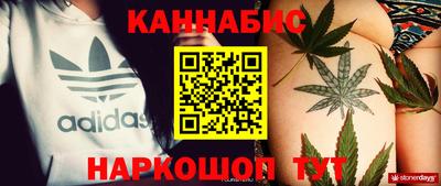 apvp Бийск