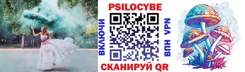 Галлюциногенные грибы GOLDEN TEACHER  блэк спрут ссылка  Грозный 