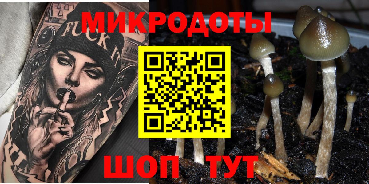 Псилоцибиновые грибы ЛСД  Грозный  хочу наркоту  Псилоцибиновые грибы GOLDEN TEACHER 