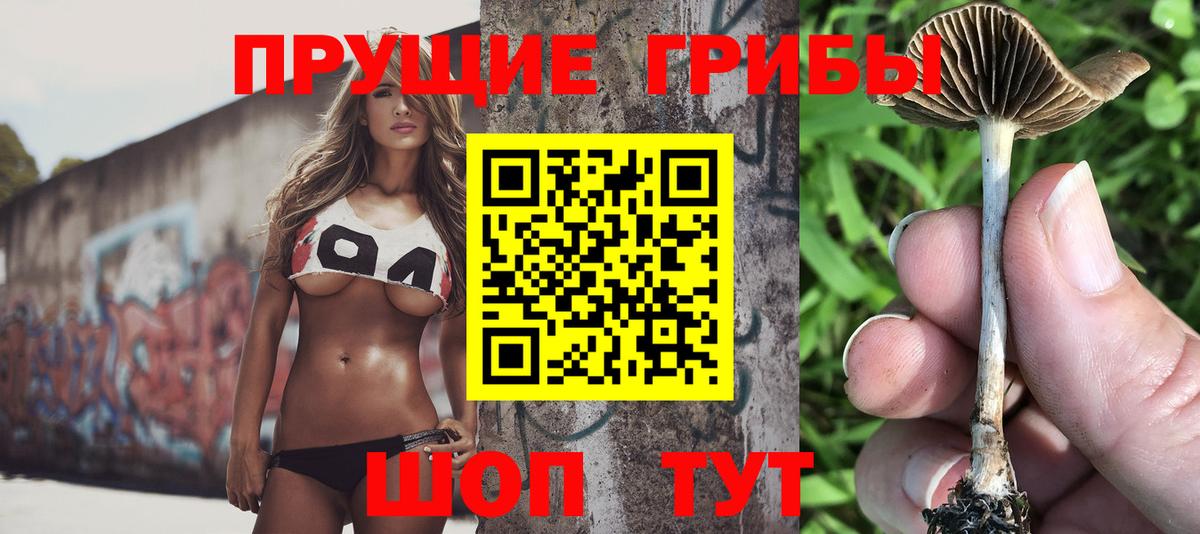 Галлюциногенные грибы MAGIC MUSHROOMS Грозный