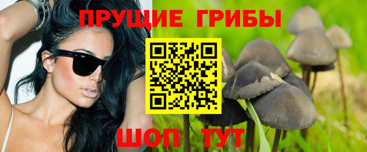 Псилоцибиновые грибы Magic Shrooms Грозный