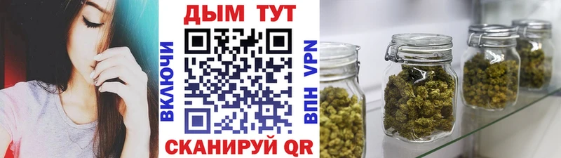 купить наркоту  Грозный  Канабис сатива 